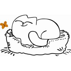 Кровать двухуровневая Кот № 900.1 ЛЕВАЯ (туя светлая/белый) | фото 2