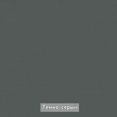 Шкаф купе без зеркала "Ольга-Лофт 10.1" | фото 7