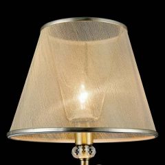 Настольная лампа декоративная Freya Driana FR2405-TL-01-BS | фото 11