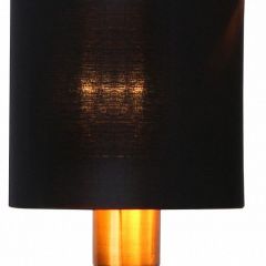 Настольная лампа декоративная Escada Denver 1109/2 | фото 2