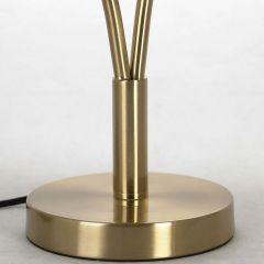 Настольная лампа декоративная Lussole Cleburne LSP-0612 | фото 2