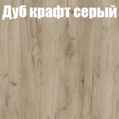 Шкаф-купе Эдем 1.5 (Дуб Крафт серый/Бетонный камень) двери ЛДСП | фото 4