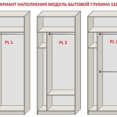 Шкаф распашной серия «ЗЕВС» (PL3/С1/PL2) | фото 5