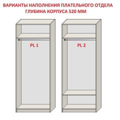 Шкаф распашной серия «ЗЕВС» (PL3/С1/PL2) | фото 9