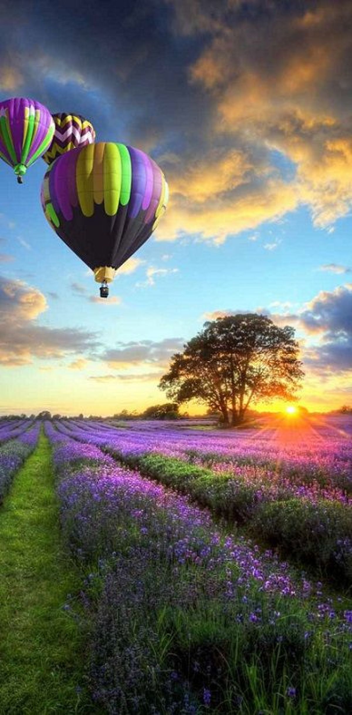 Картинки с днем рождения природа