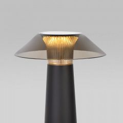 Настольная лампа декоративная Elektrostandard Future a062379 | фото 4