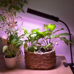 Светильник для растений Uniel ULT-P31 UL-00009251 | фото 3