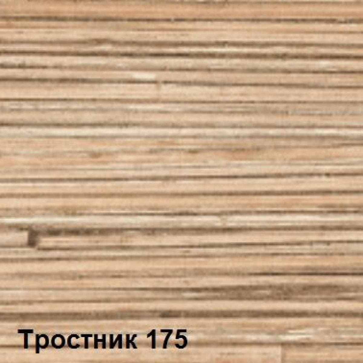 Столешницы Скиф - цвет: тростник 175