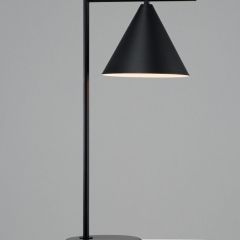 Настольная лампа декоративная Moderli Omaha V10516-1T | фото 2