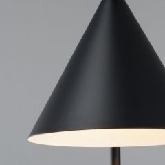 Настольная лампа декоративная Moderli Omaha V10516-1T | фото 6