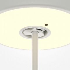 Настольная лампа декоративная Maytoni AI Collaboration MOD229TL-L3W3K2 | фото 4