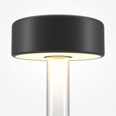 Настольная лампа декоративная Maytoni AI Collaboration MOD229TL-L3B3K1 | фото 4