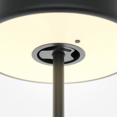 Настольная лампа декоративная Maytoni AI Collaboration MOD229TL-L3B3K2 | фото 5